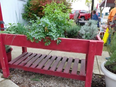 red wooden table with herbs growing on the top