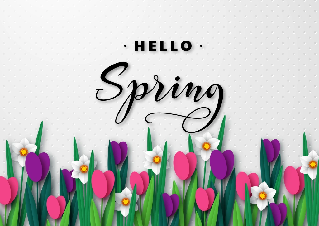 
Hello Spring seasonal greeting banner. 3d paper cut spring flowers tulips and narcissus on white spotted background and greeting text. 