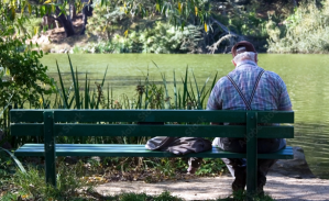 Gray haired man on park bench by pond. 